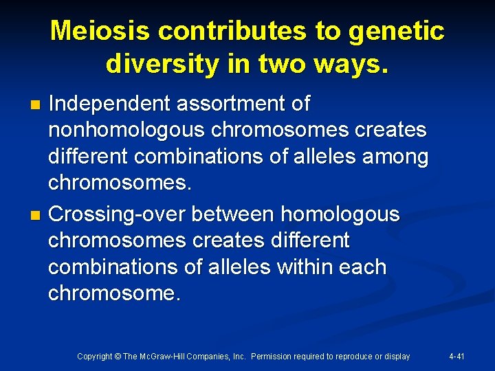 Meiosis contributes to genetic diversity in two ways. Independent assortment of nonhomologous chromosomes creates