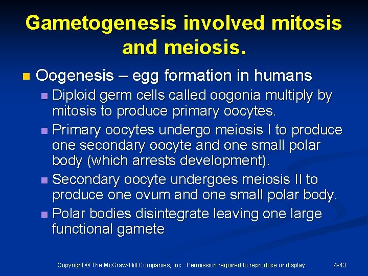 Gametogenesis involved mitosis and meiosis. n Oogenesis – egg formation in humans Diploid germ