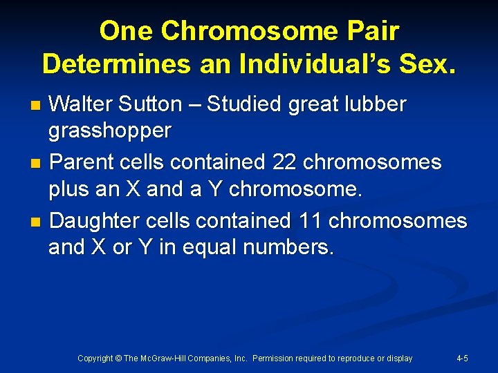 One Chromosome Pair Determines an Individual’s Sex. Walter Sutton – Studied great lubber grasshopper