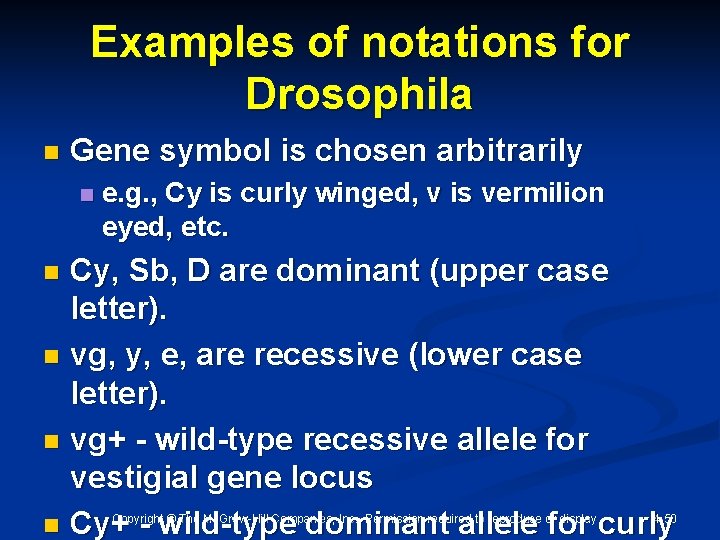 Examples of notations for Drosophila n Gene symbol is chosen arbitrarily n e. g.