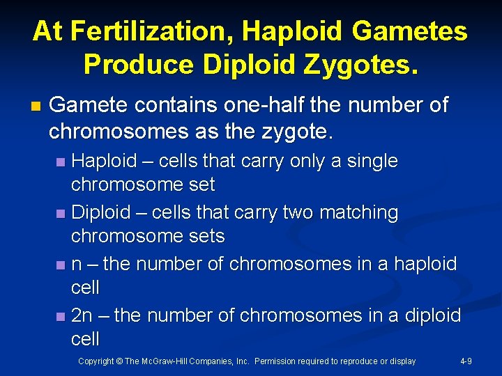 At Fertilization, Haploid Gametes Produce Diploid Zygotes. n Gamete contains one-half the number of