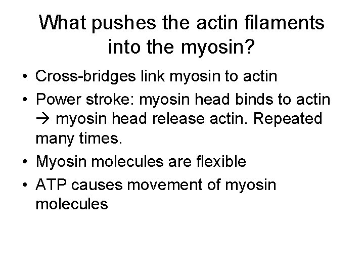 What pushes the actin filaments into the myosin? • Cross-bridges link myosin to actin