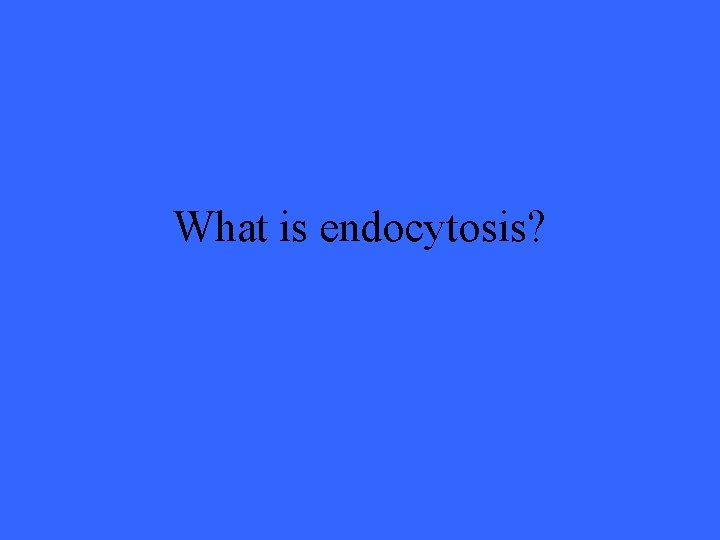 What is endocytosis? 