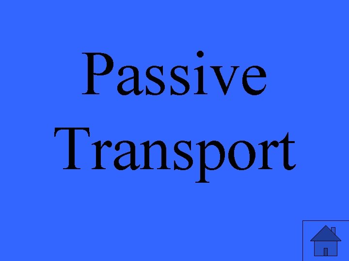 Passive Transport 