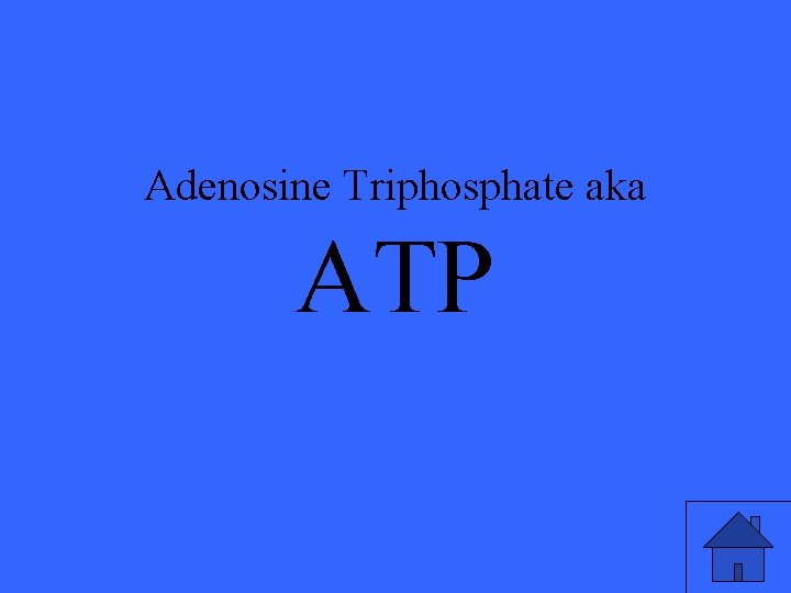 Adenosine Triphosphate aka ATP 