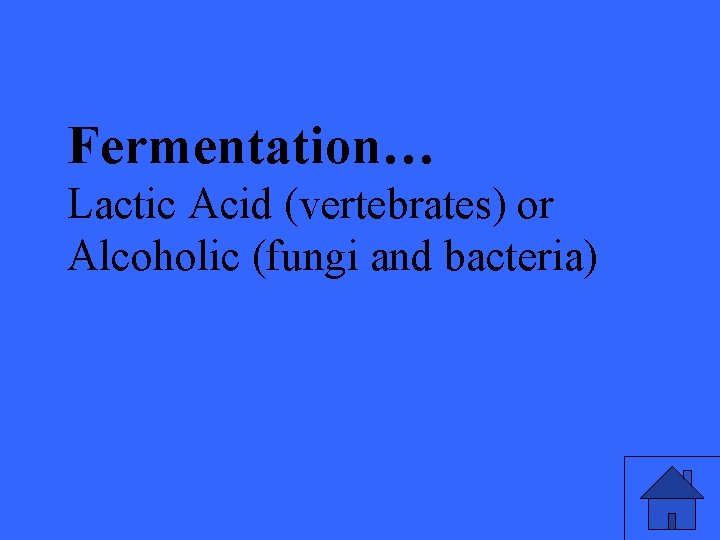 Fermentation… Lactic Acid (vertebrates) or Alcoholic (fungi and bacteria) 