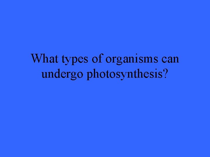 What types of organisms can undergo photosynthesis? 