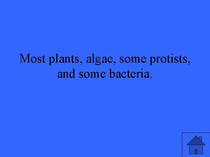 Most plants, algae, some protists, and some bacteria. 