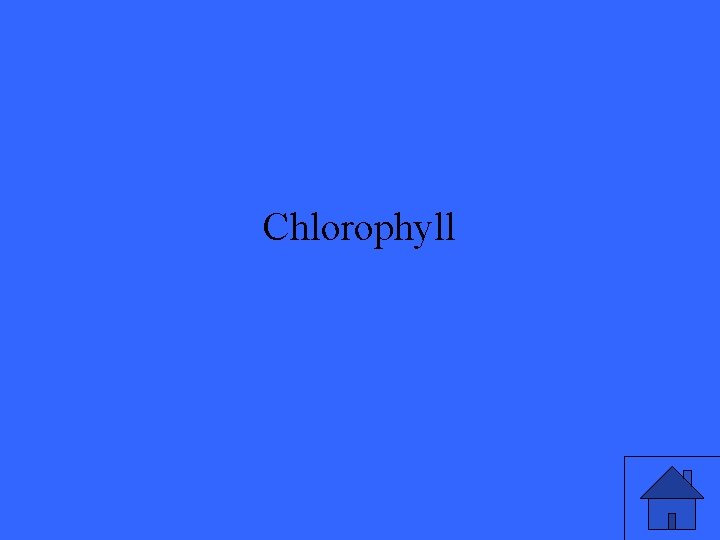 Chlorophyll 