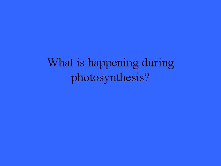 What is happening during photosynthesis? 
