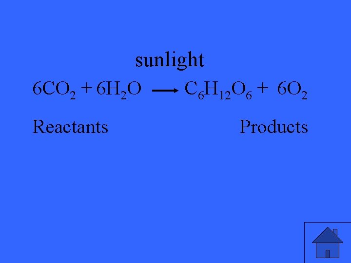 sunlight 6 CO 2 + 6 H 2 O Reactants C 6 H 12