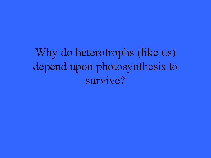 Why do heterotrophs (like us) depend upon photosynthesis to survive? 