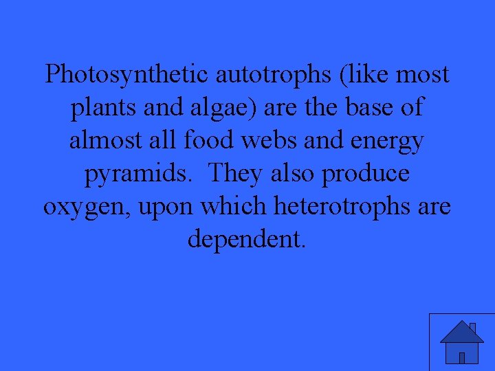 Photosynthetic autotrophs (like most plants and algae) are the base of almost all food