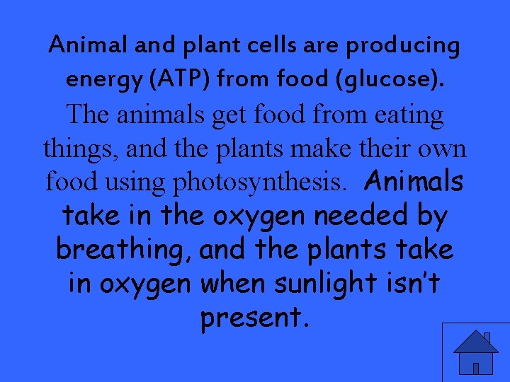 Animal and plant cells are producing energy (ATP) from food (glucose). The animals get