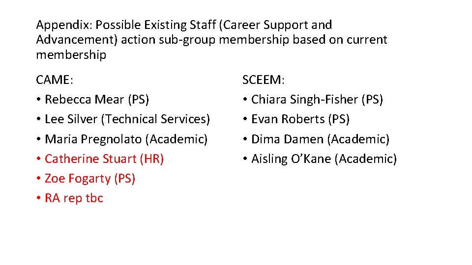 Appendix: Possible Existing Staff (Career Support and Advancement) action sub-group membership based on current