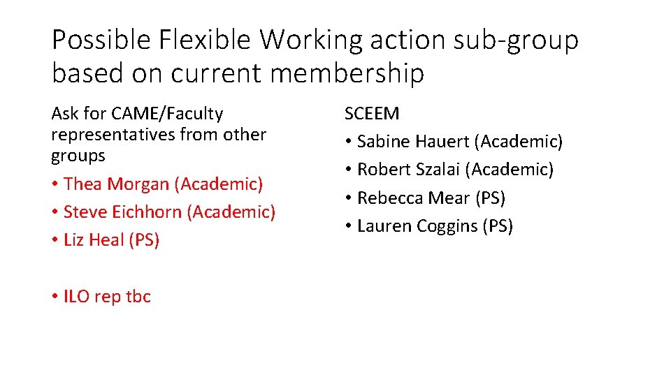 Possible Flexible Working action sub-group based on current membership Ask for CAME/Faculty representatives from