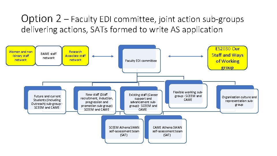 Option 2 – Faculty EDI committee, joint action sub-groups delivering actions, SATs formed to