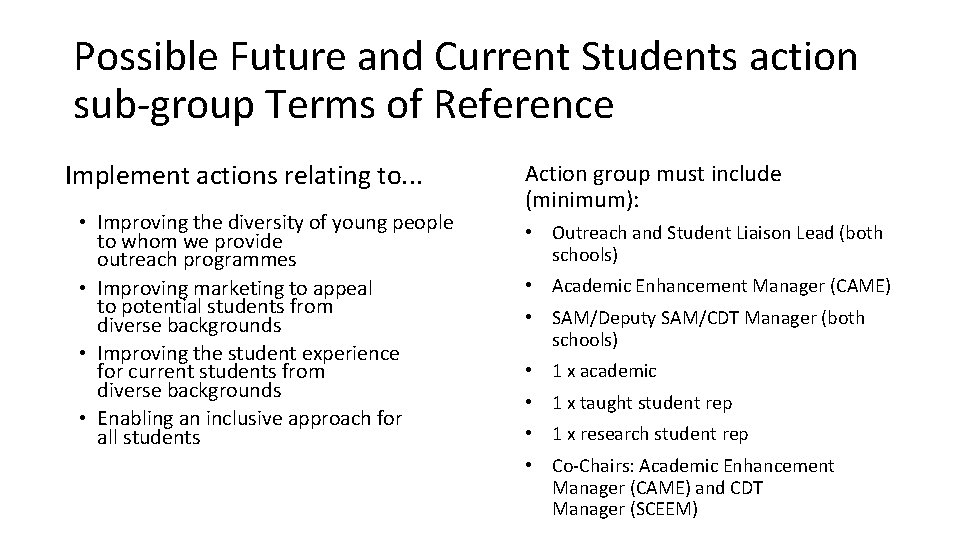 Possible Future and Current Students action sub-group Terms of Reference Implement actions relating to.