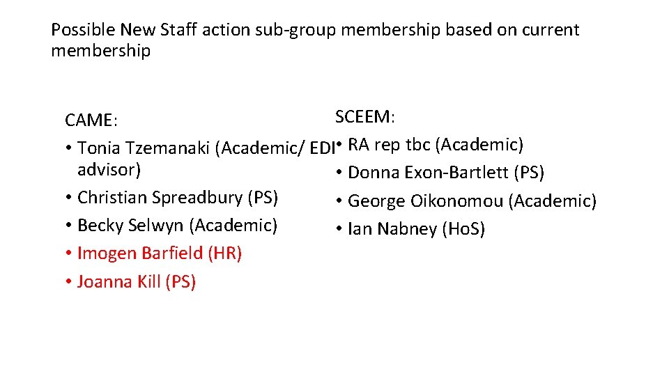 Possible New Staff action sub-group membership based on current membership SCEEM: CAME: • Tonia