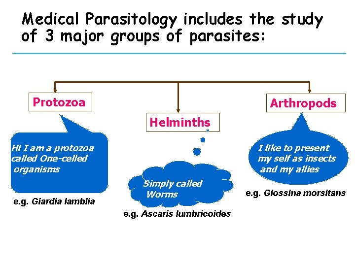 Medical Parasitology includes the study of 3 major groups of parasites: Protozoa Arthropods Helminths