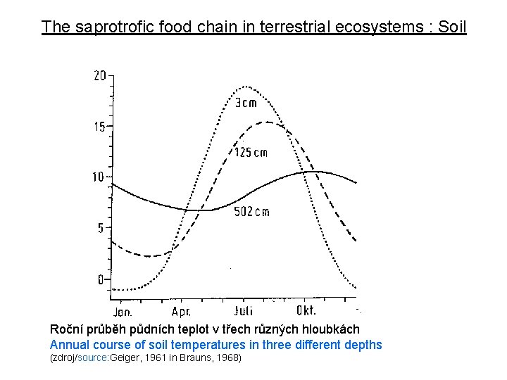 The saprotrofic food chain in terrestrial ecosystems : Soil Roční průběh půdních teplot v