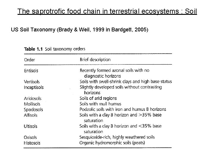 The saprotrofic food chain in terrestrial ecosystems : Soil US Soil Taxonomy (Brady &