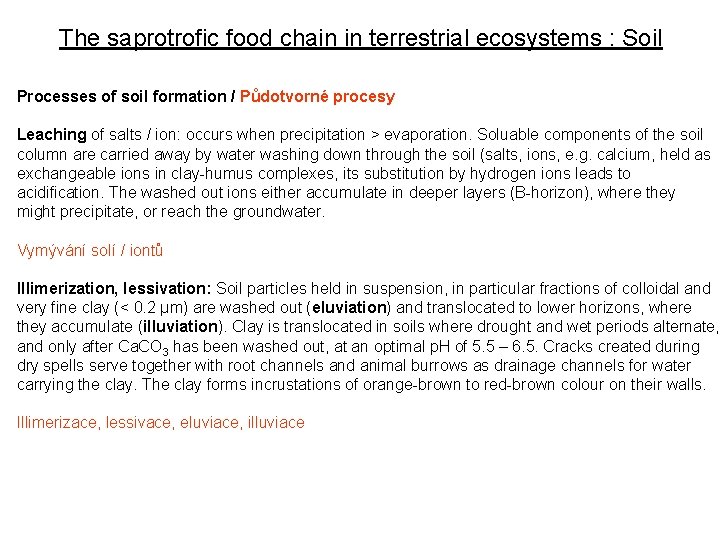 The saprotrofic food chain in terrestrial ecosystems : Soil Processes of soil formation /