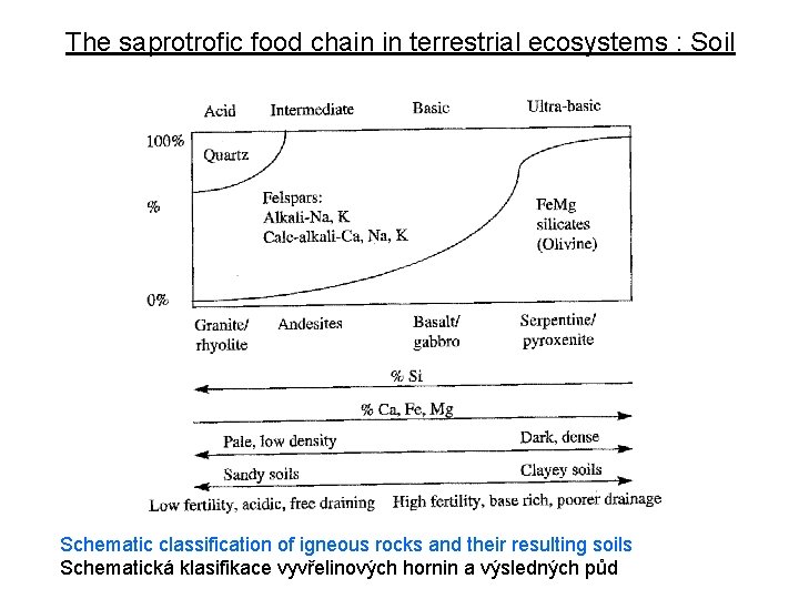 The saprotrofic food chain in terrestrial ecosystems : Soil Schematic classification of igneous rocks