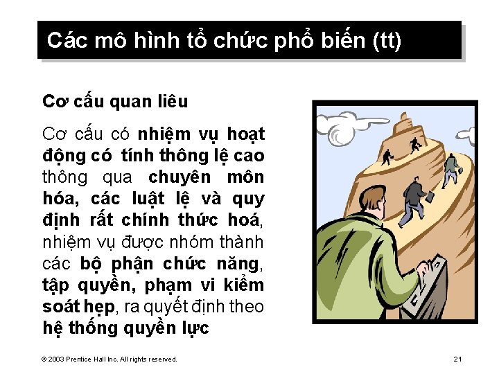 Các mô hình tổ chức phổ biến (tt) Cơ cấu quan liêu Cơ cấu