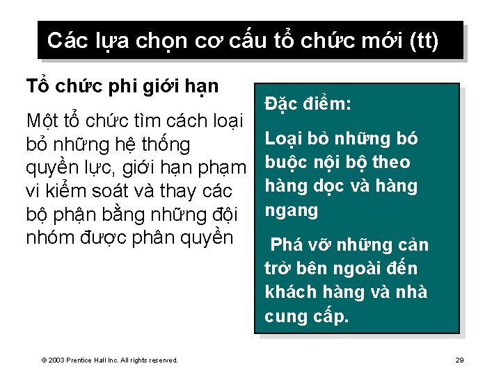 Các lựa chọn cơ cấu tổ chức mới (tt) Tổ chức phi giới hạn