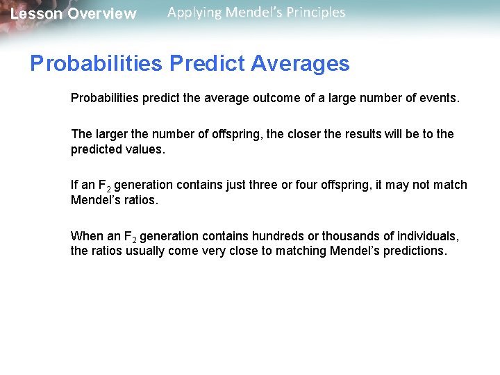 Lesson Overview Applying Mendel’s Principles Probabilities Predict Averages Probabilities predict the average outcome of