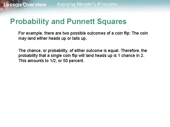 Lesson Overview Applying Mendel’s Principles Probability and Punnett Squares For example, there are two