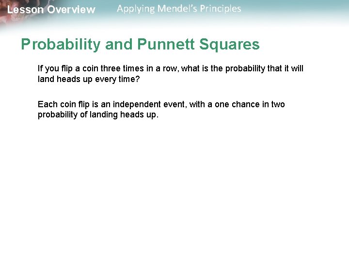 Lesson Overview Applying Mendel’s Principles Probability and Punnett Squares If you flip a coin