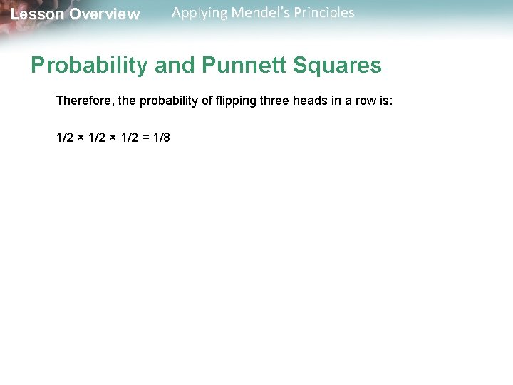 Lesson Overview Applying Mendel’s Principles Probability and Punnett Squares Therefore, the probability of flipping