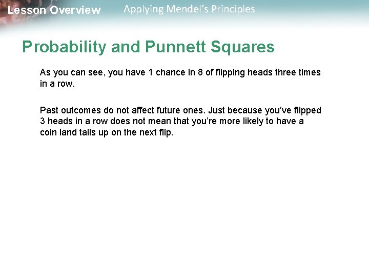 Lesson Overview Applying Mendel’s Principles Probability and Punnett Squares As you can see, you