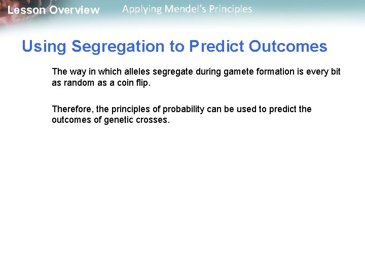Lesson Overview Applying Mendel’s Principles Using Segregation to Predict Outcomes The way in which