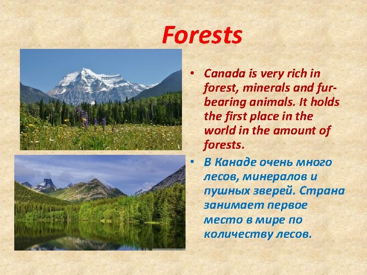 Forests • Canada is very rich in forest, minerals and furbearing animals. It holds Forests • Canada is very rich in forest, minerals and furbearing animals. It holds