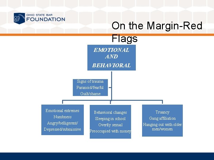 On the Margin-Red Flags EMOTIONAL AND BEHAVIORAL Signs of trauma Paranoid/fearful Guilt/shame Emotional extremes