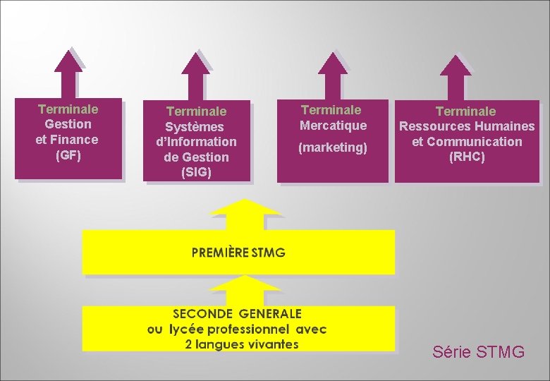 Terminale Gestion et Finance (GF) Terminale Systèmes d’Information de Gestion (SIG) Terminale Mercatique (marketing)