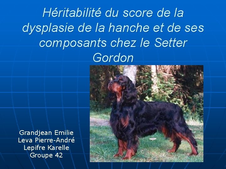 Héritabilité du score de la dysplasie de la hanche et de ses composants chez