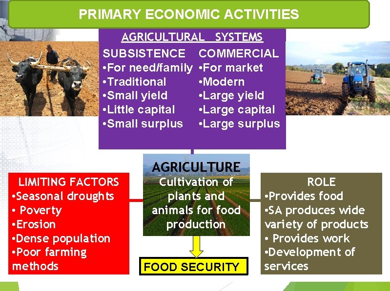 PRIMARY ECONOMIC ACTIVITIES AGRICULTURAL SYSTEMS SUBSISTENCE COMMERCIAL • For need/family • For market • PRIMARY ECONOMIC ACTIVITIES AGRICULTURAL SYSTEMS SUBSISTENCE COMMERCIAL • For need/family • For market •