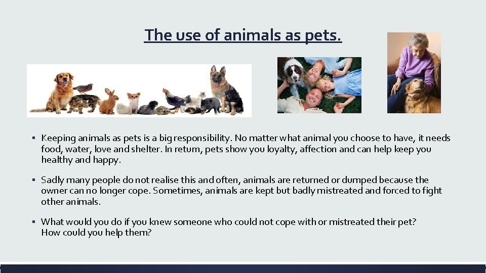 The use of animals as pets. ▪ Keeping animals as pets is a big