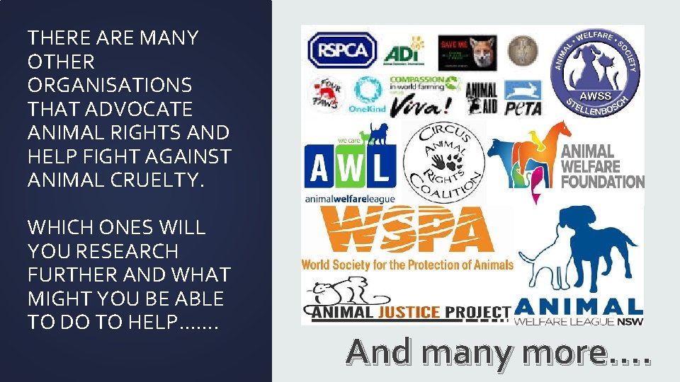 THERE ARE MANY OTHER ORGANISATIONS THAT ADVOCATE ANIMAL RIGHTS AND HELP FIGHT AGAINST ANIMAL