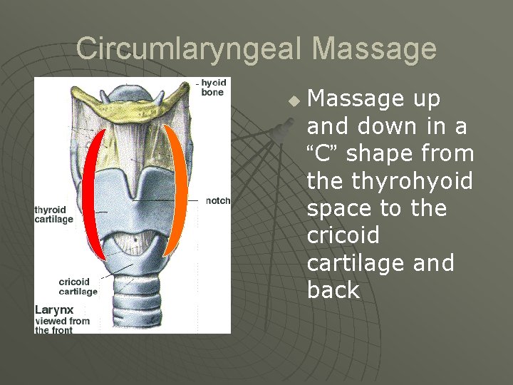 Circumlaryngeal Massage up and down in a “C” shape from the thyrohyoid space to
