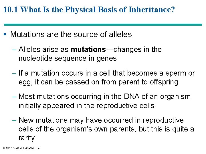 10. 1 What Is the Physical Basis of Inheritance? § Mutations are the source