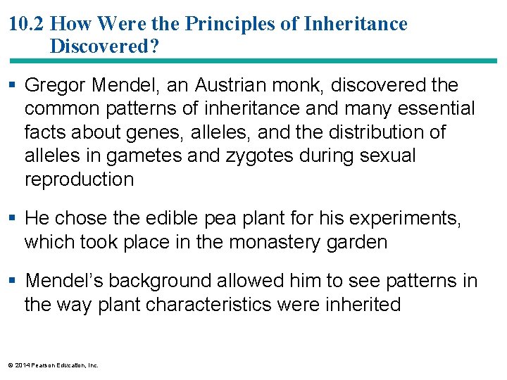 10. 2 How Were the Principles of Inheritance Discovered? § Gregor Mendel, an Austrian