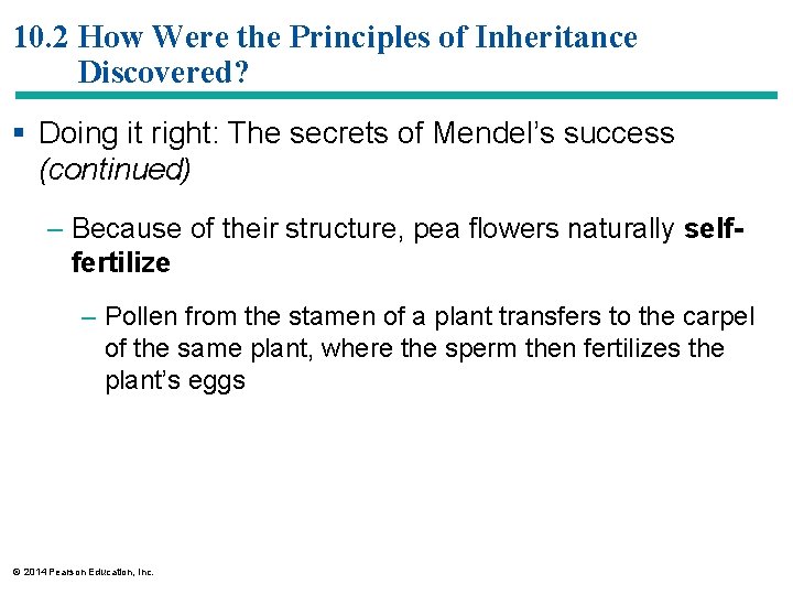 10. 2 How Were the Principles of Inheritance Discovered? § Doing it right: The