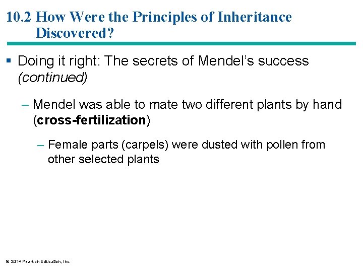 10. 2 How Were the Principles of Inheritance Discovered? § Doing it right: The