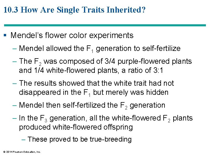 10. 3 How Are Single Traits Inherited? § Mendel’s flower color experiments – Mendel