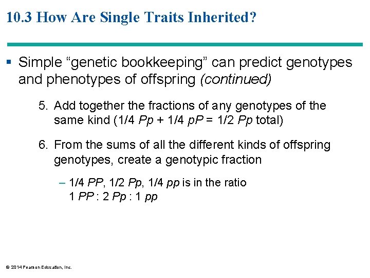 10. 3 How Are Single Traits Inherited? § Simple “genetic bookkeeping” can predict genotypes